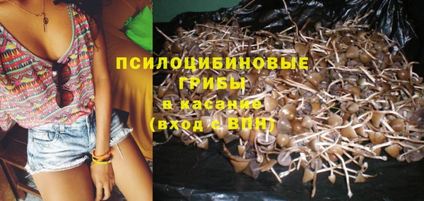 дмт Медвежьегорск