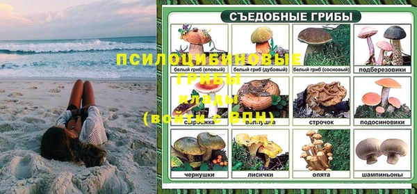 трава Канск