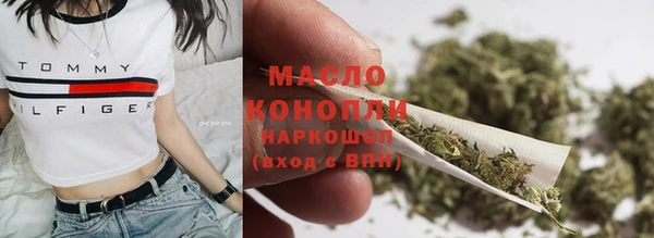 гашик Майский