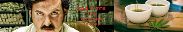 индика Магас