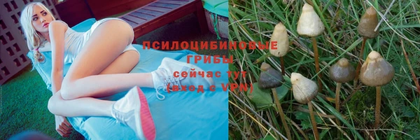 Альфа ПВП Мегион