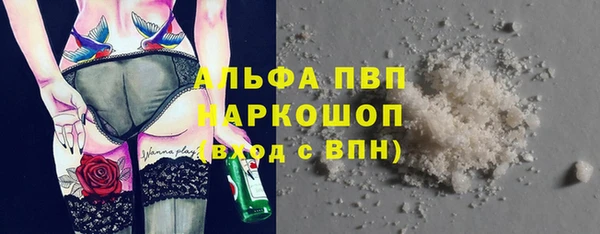 СК Медногорск