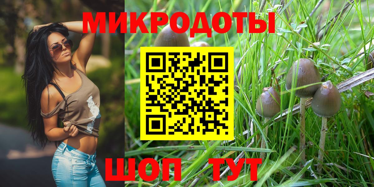 Бошки Шишки Курчалой