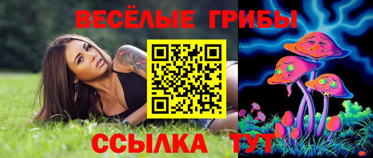 Галлюциногенные грибы мухоморы  Вход с VPN  Галлюциногенные грибы ЛСД  Курчалой 